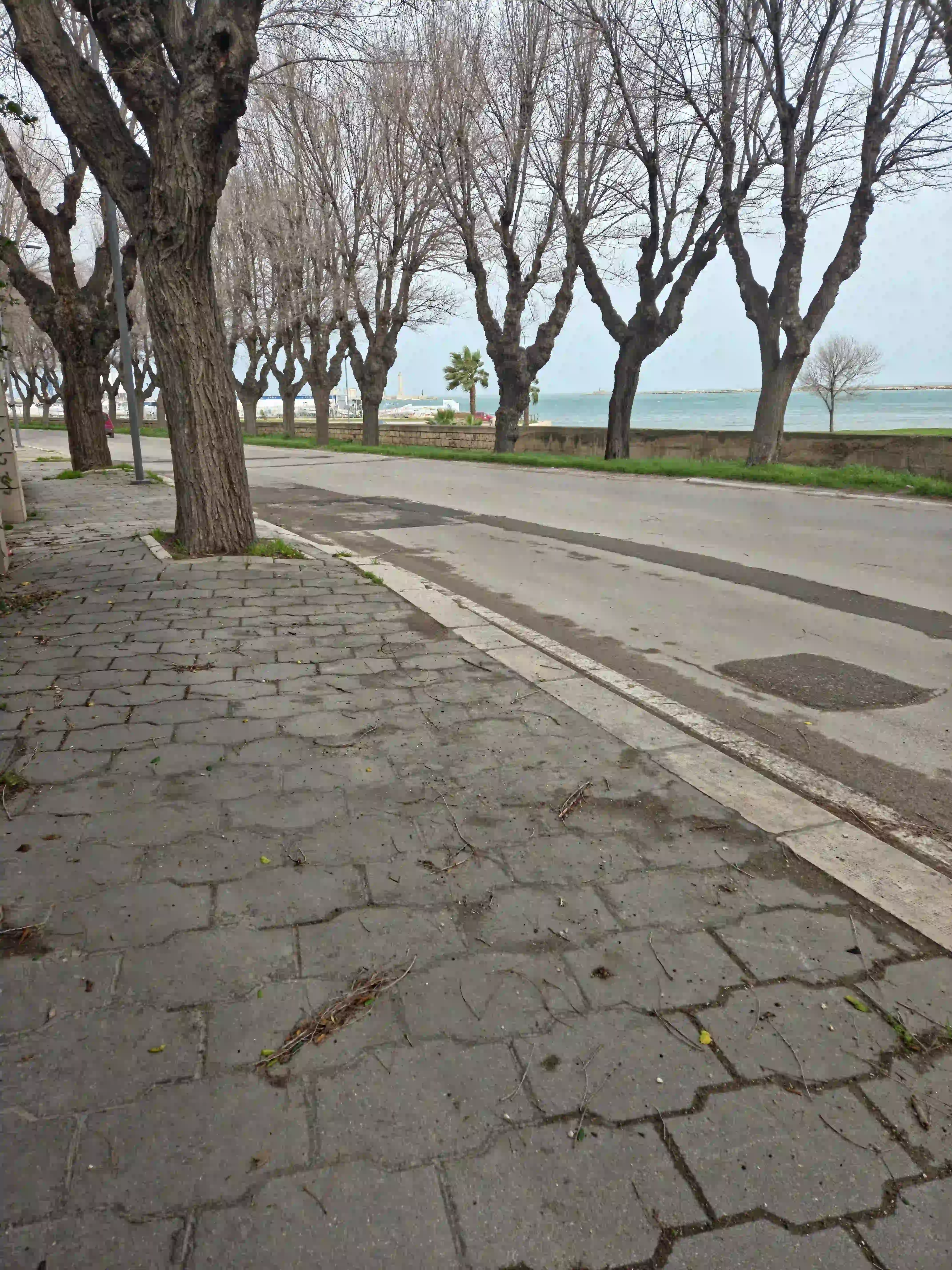 Viale Cafiero